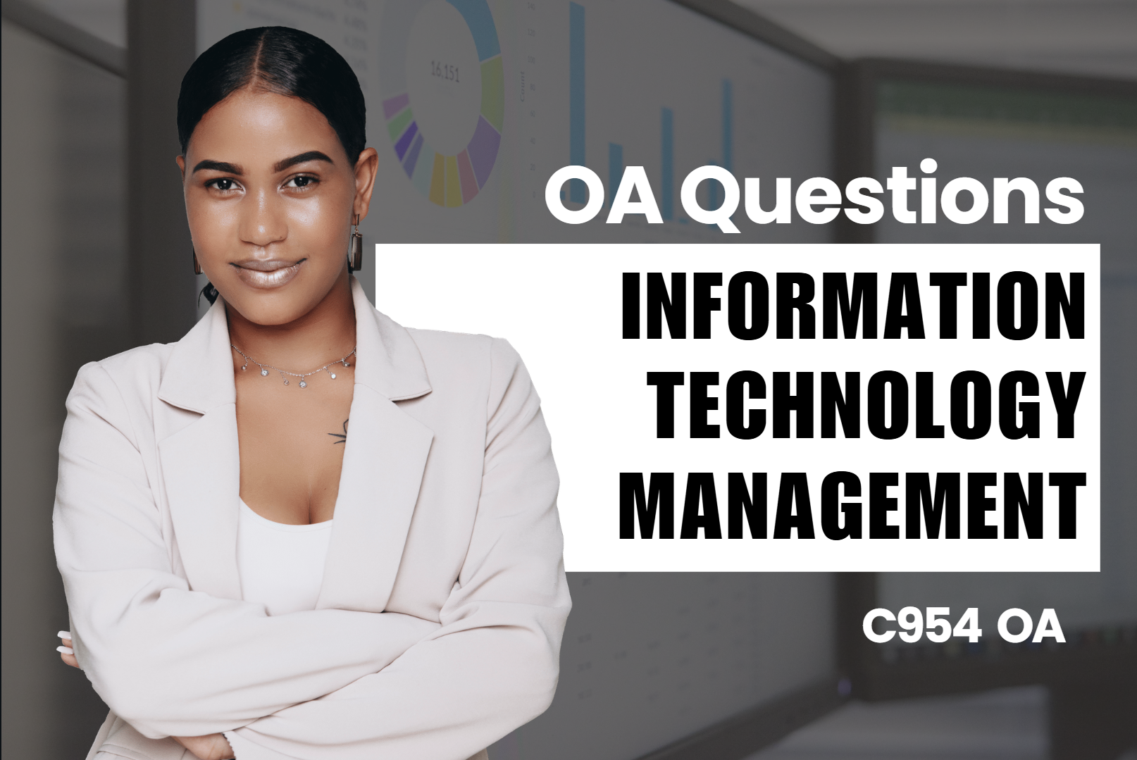 Information Technology Management